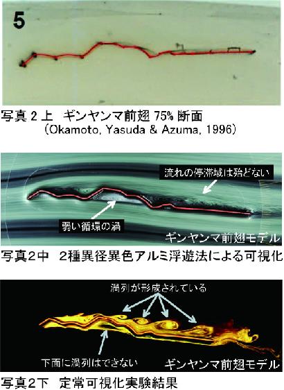 上：ギンヤンマの前翅の断面　中：前翅の周りの空気の流れを，目で見えるようにした写真　下：写真２とは別の方法で空気の流れを可視化した写真