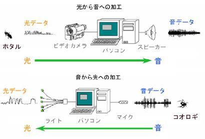 ホタルの光を聞いて！虫の声を見て！画像