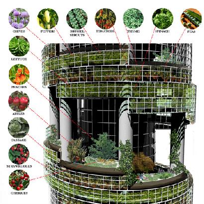 上へ上へ伸びる植物-「どうやって役立てるの？」画像