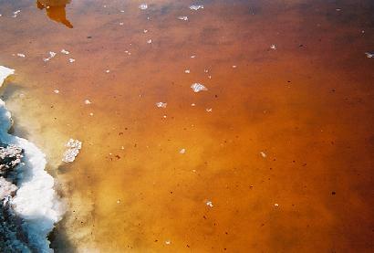 カリフォルニア州の古細菌が住む塩濃度の高い湖