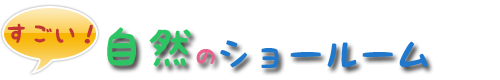 すごい自然のショールーム